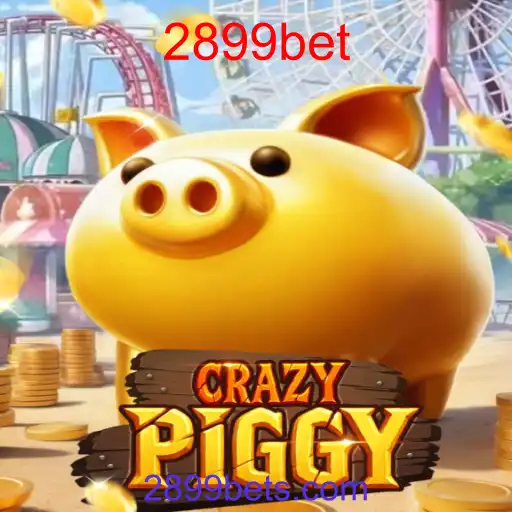 CrazyPiggy
